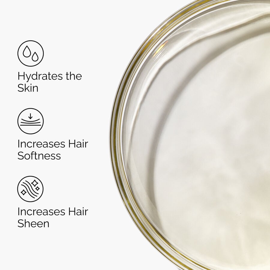 100-organic-cold-pressed-moroccan-argan-oil-d7 FY25-D41247-ORD-Web-PDP-100-Argan-Oil-1x1-EN-3.jpg