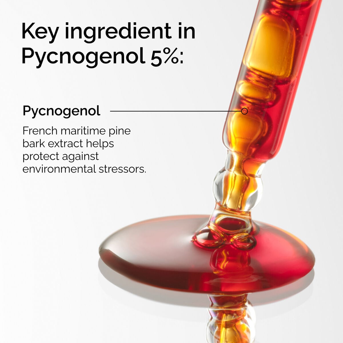 pycnogenol-5-l3 FY25-D41247-ORD-Web-PDP-Pyc-5pct-1x1-EN-2a.jpg