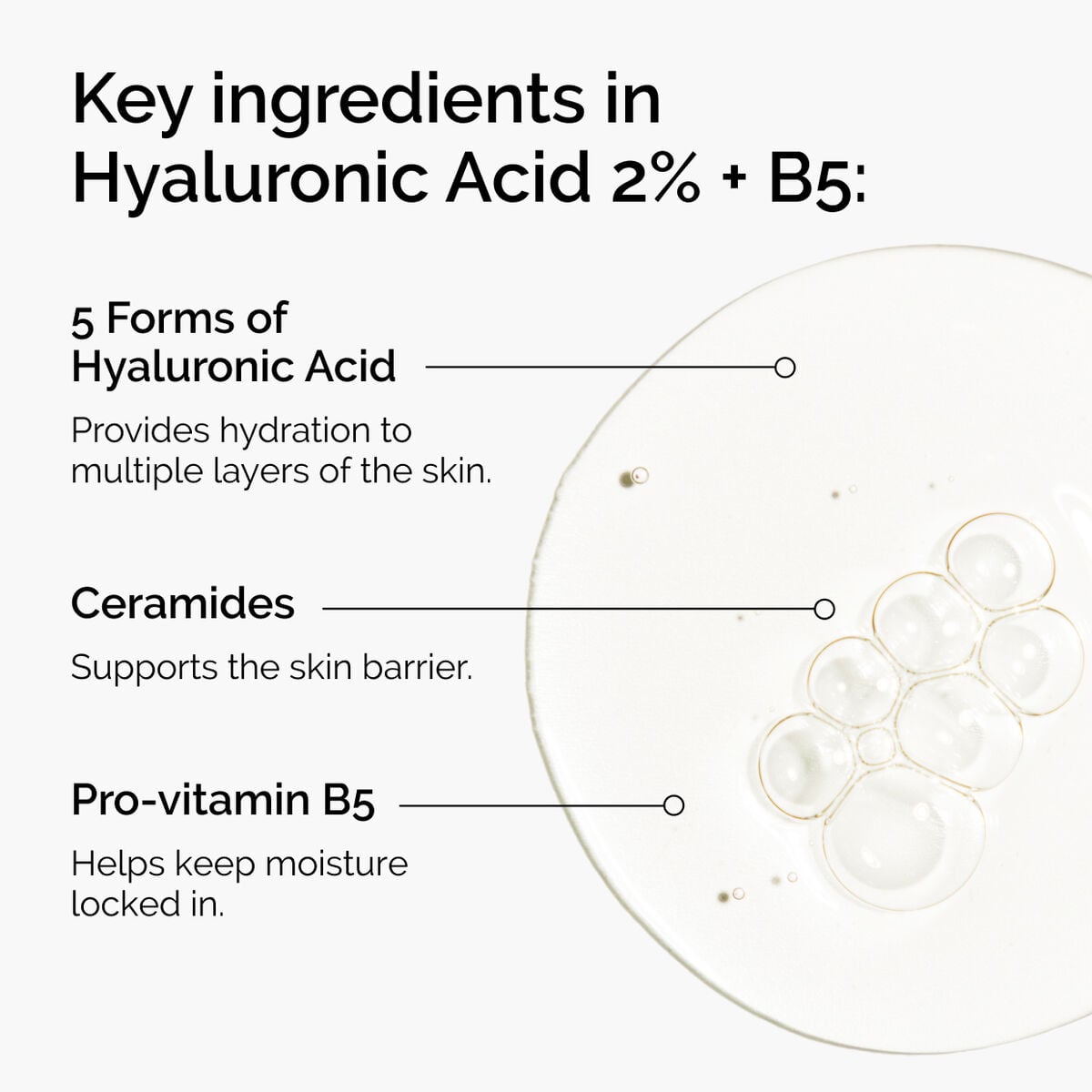 hyaluronic-acid-2-b5-with-ceramides-o1 ord-hyaluronic-acid-2pct-b5-hydrating-serum-ingredients-graphic.jpg