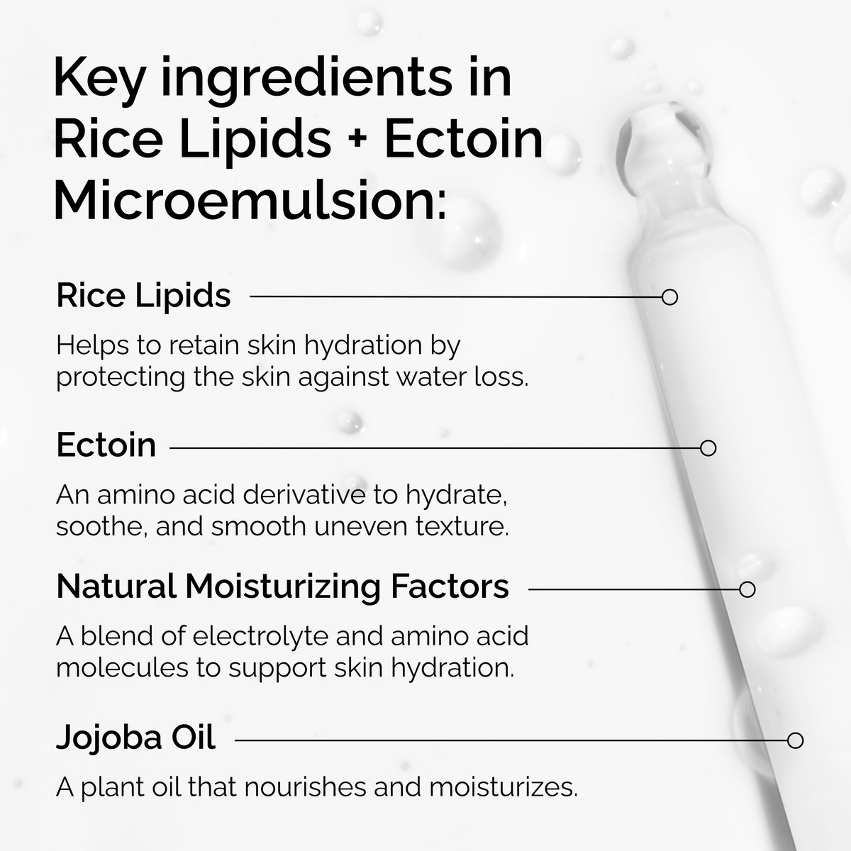 rice-lipids-ectoin-microemulsion-f5 ord-rice-lipids-ectoin-microemulsion-key-ingredients.png