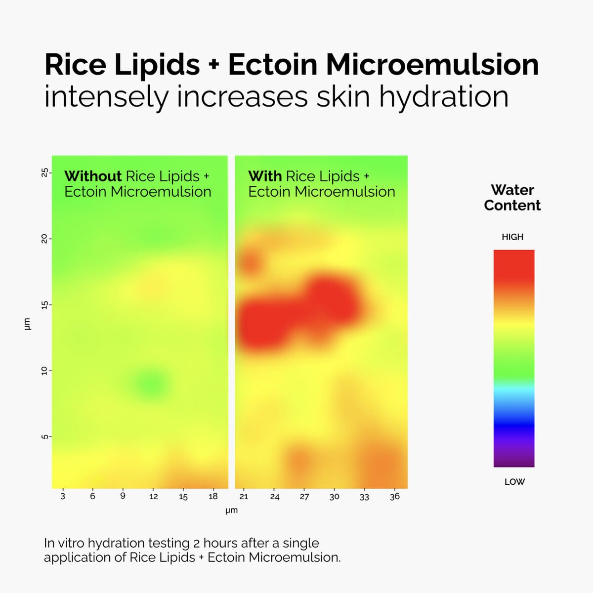 rice-lipids-ectoin-microemulsion-f5 ord-rice-lipids-ectoin-microemulsion-thermal-before-after.jpg
